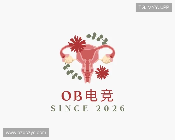 解读OB电竞